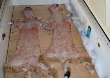 Cooling fur